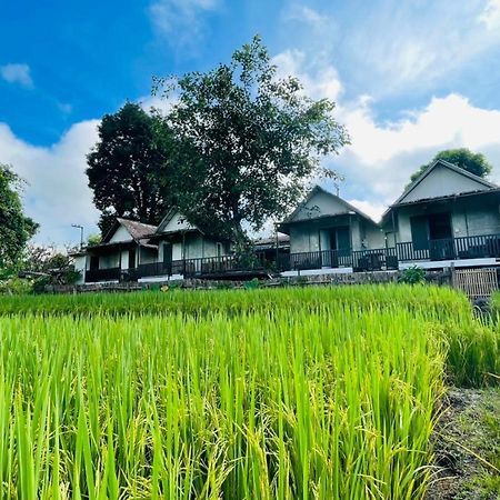 Krathom Doi Luang Hotel Chiang Dao Eksteriør billede