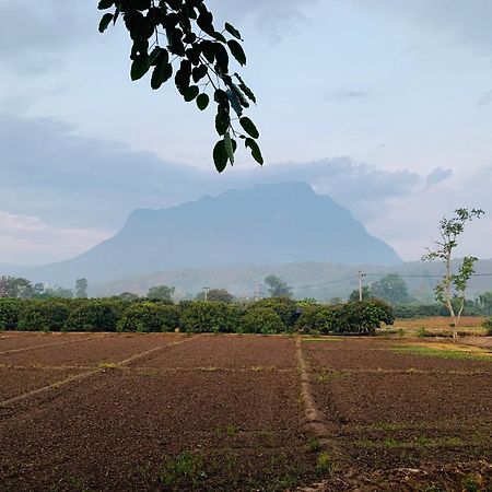 Krathom Doi Luang Hotel Chiang Dao Eksteriør billede