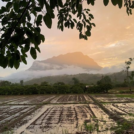 Krathom Doi Luang Hotel Chiang Dao Eksteriør billede