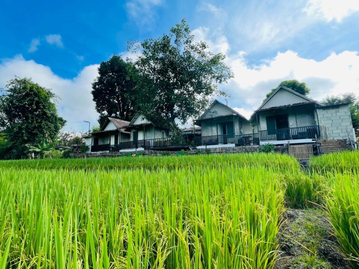 Krathom Doi Luang Hotel Chiang Dao Eksteriør billede