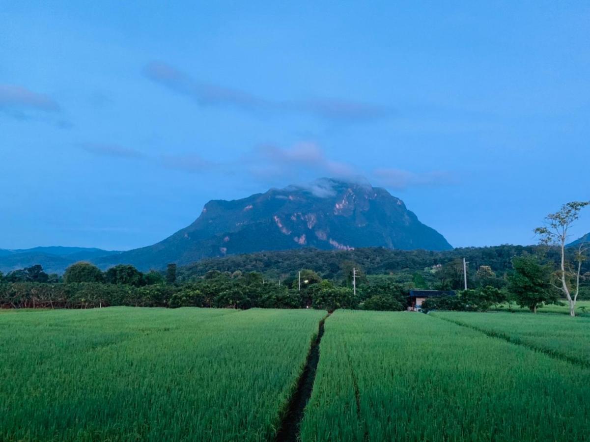 Krathom Doi Luang Hotel Chiang Dao Eksteriør billede