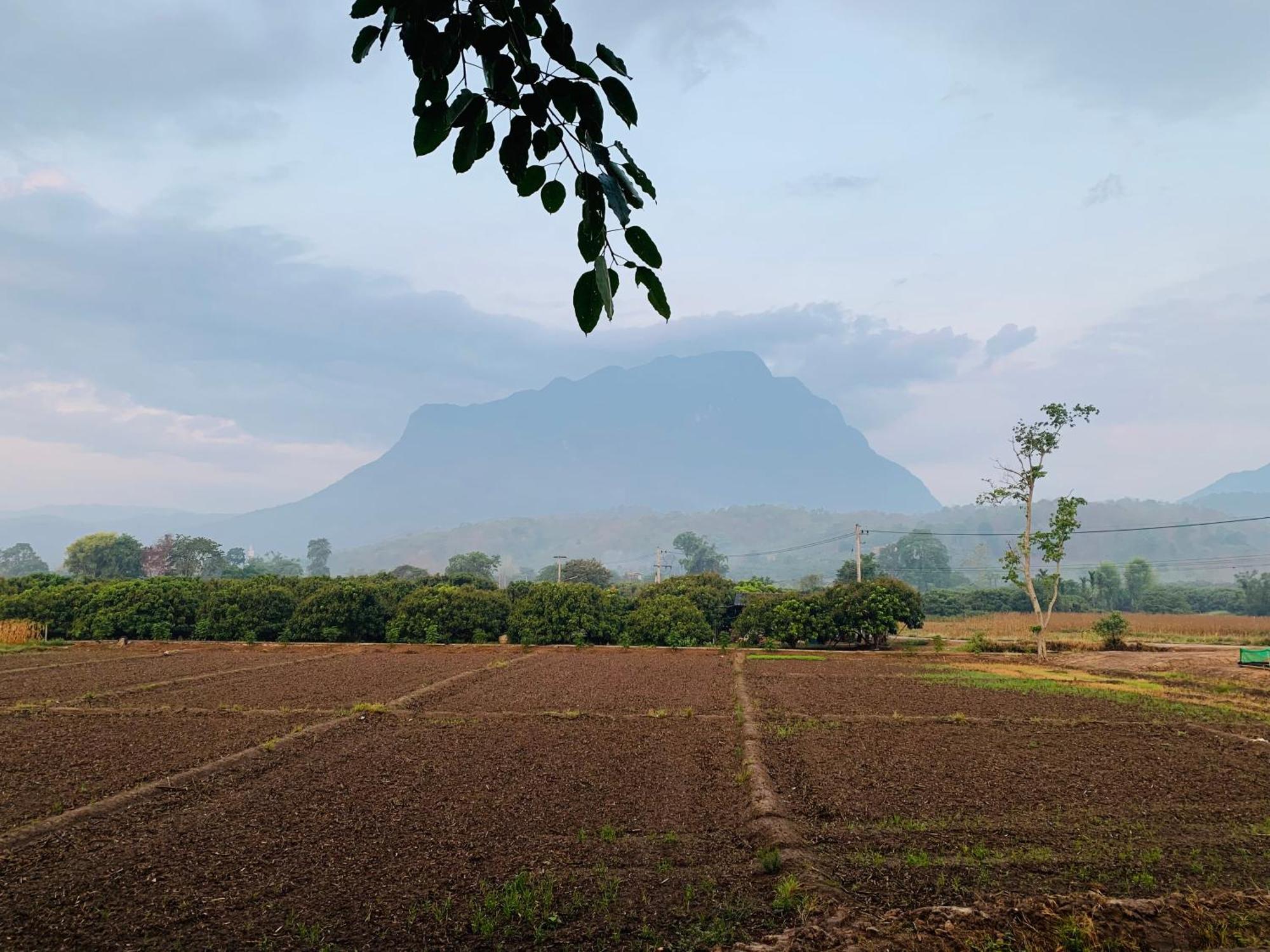 Krathom Doi Luang Hotel Chiang Dao Eksteriør billede