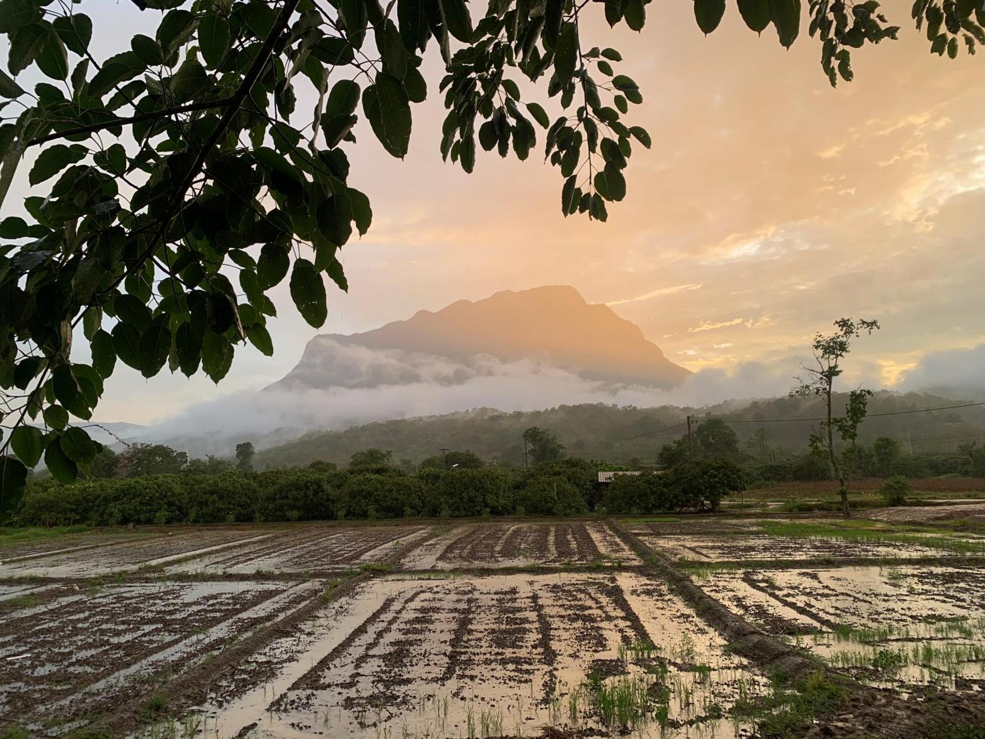 Krathom Doi Luang Hotel Chiang Dao Eksteriør billede
